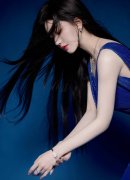 “正在野”党从导